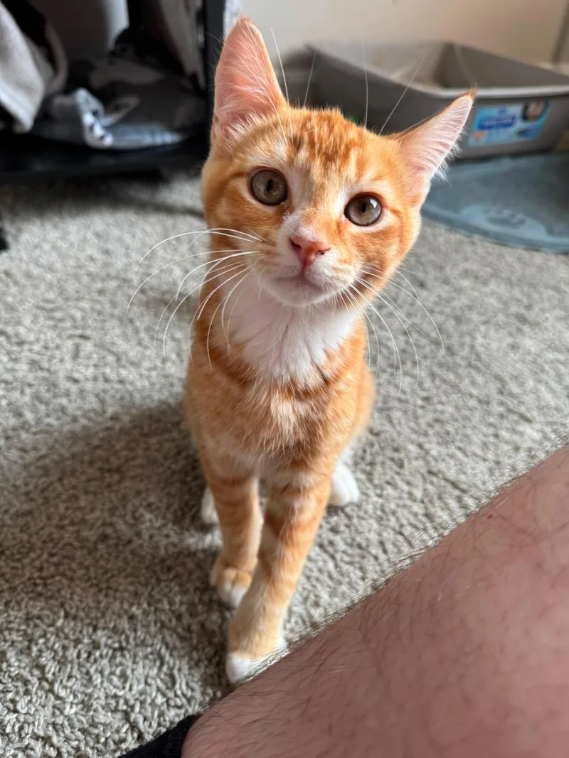 Ernie thumbnail 3