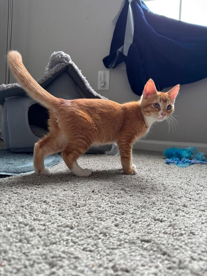 Ernie thumbnail 5