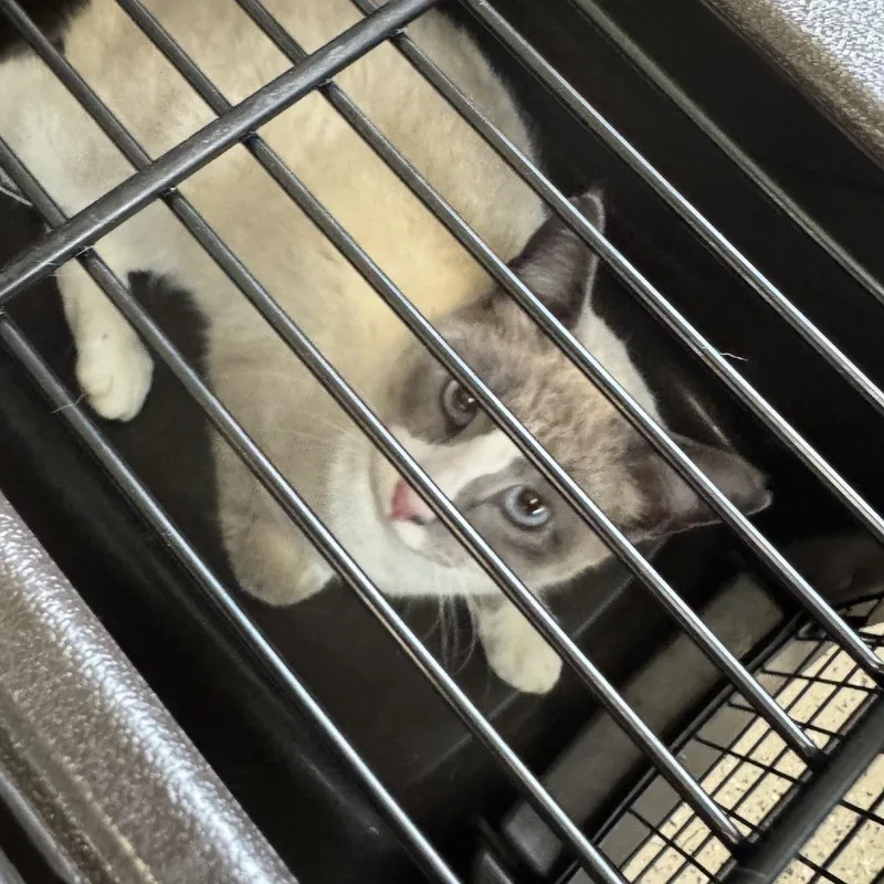 Barcelona thumbnail 2