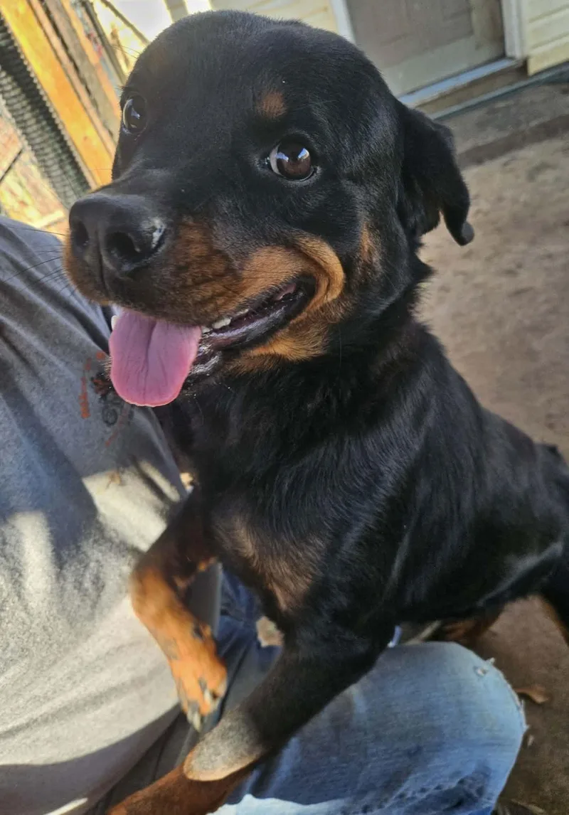 Katara “kat” thumbnail 2