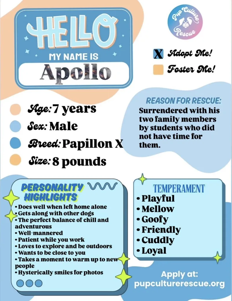 Apollo