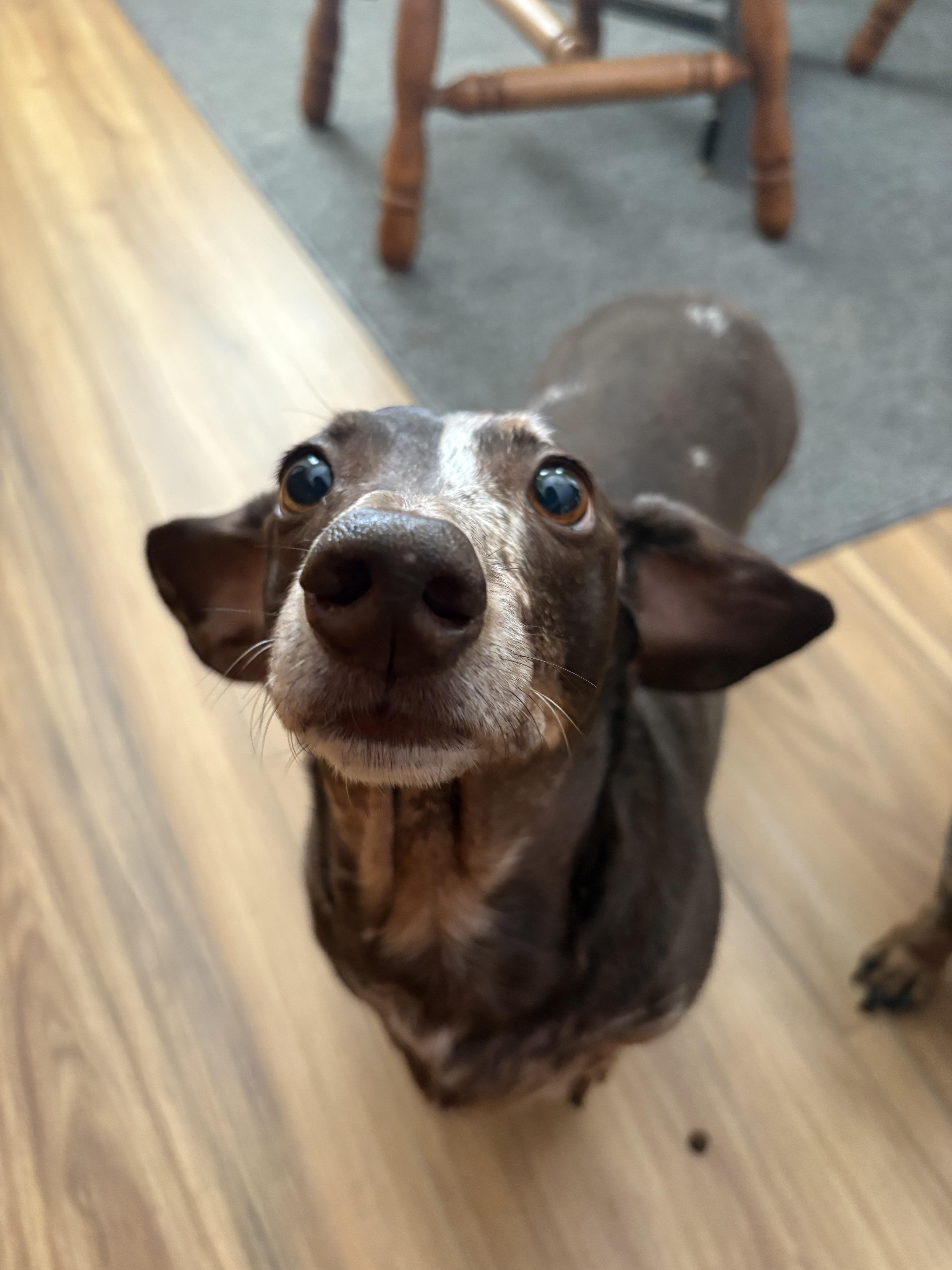 Zoe And Oakley thumbnail 2