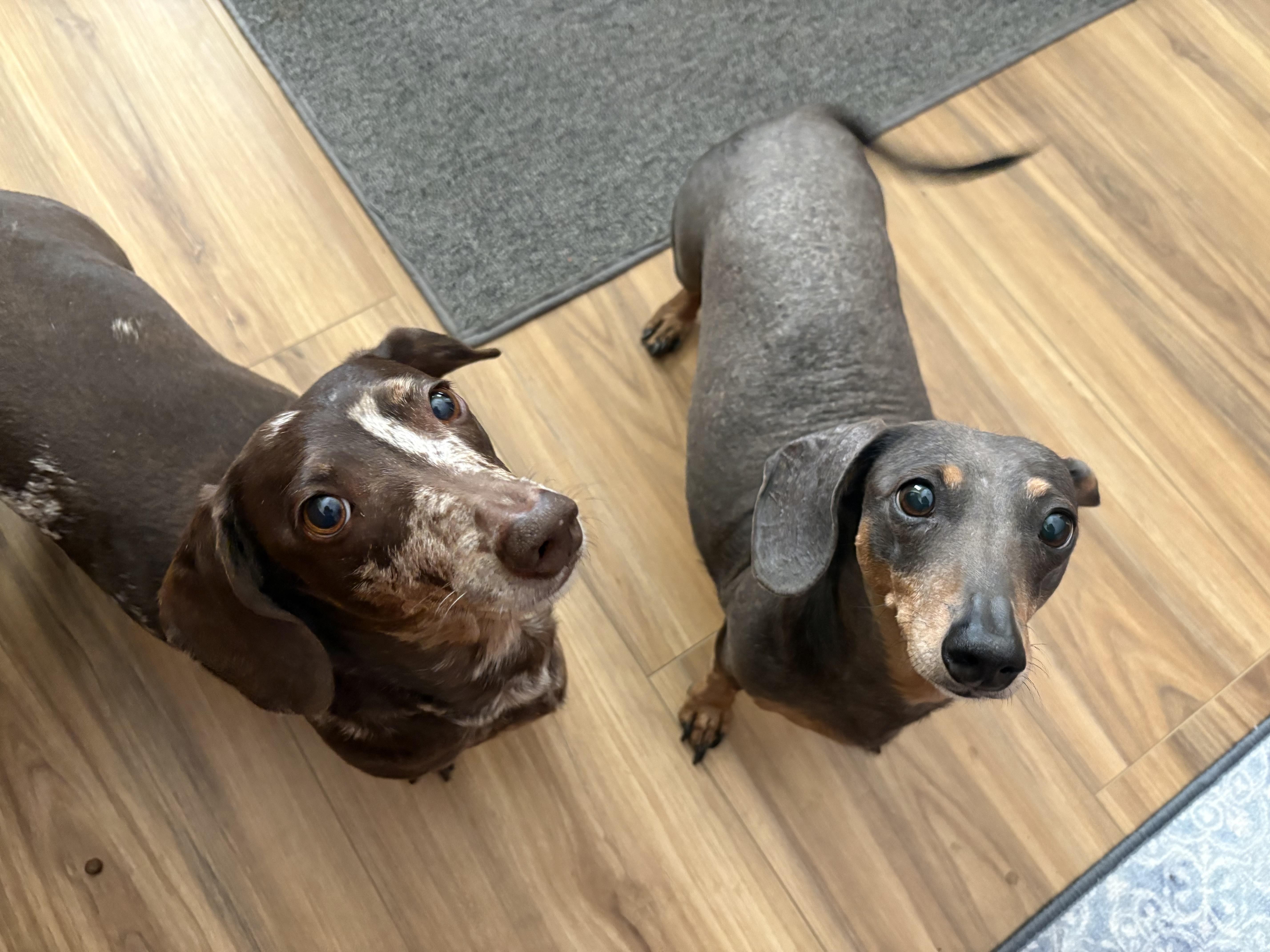 Zoe And Oakley thumbnail 3