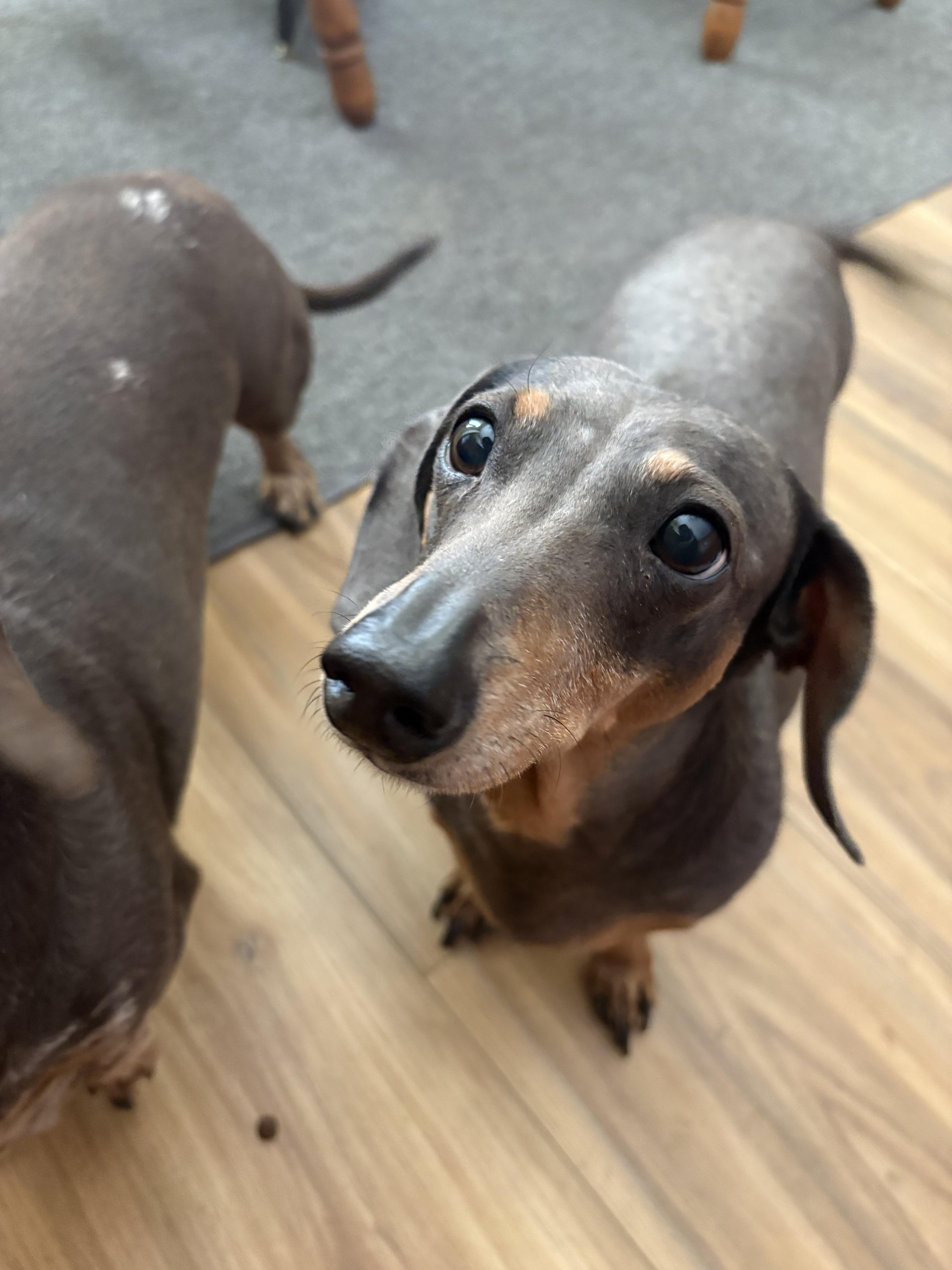 Zoe And Oakley thumbnail 4