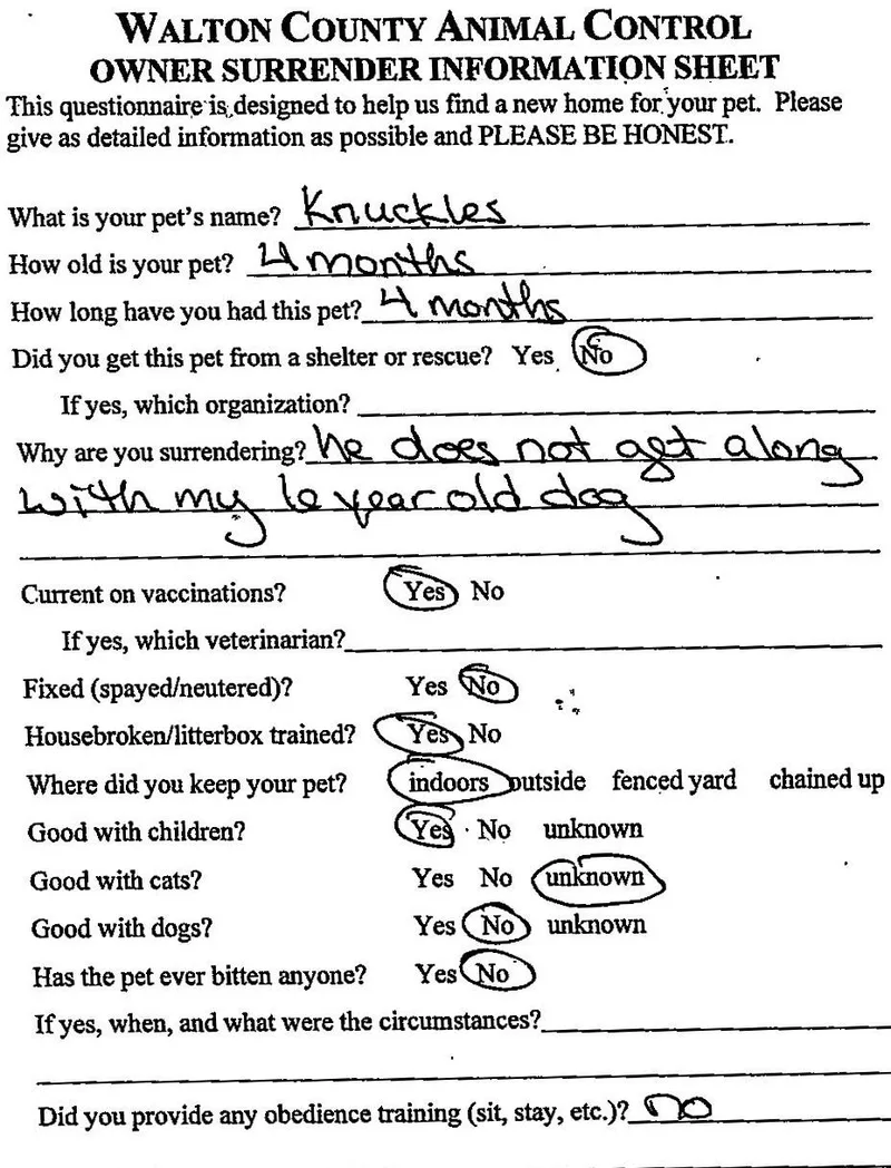 Knuckles thumbnail 4