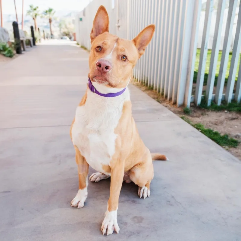 John Wayne thumbnail 3