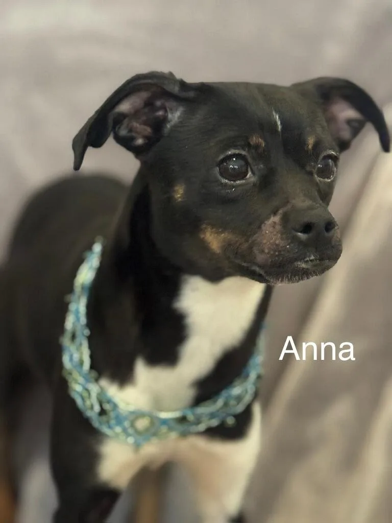 Anna thumbnail 2