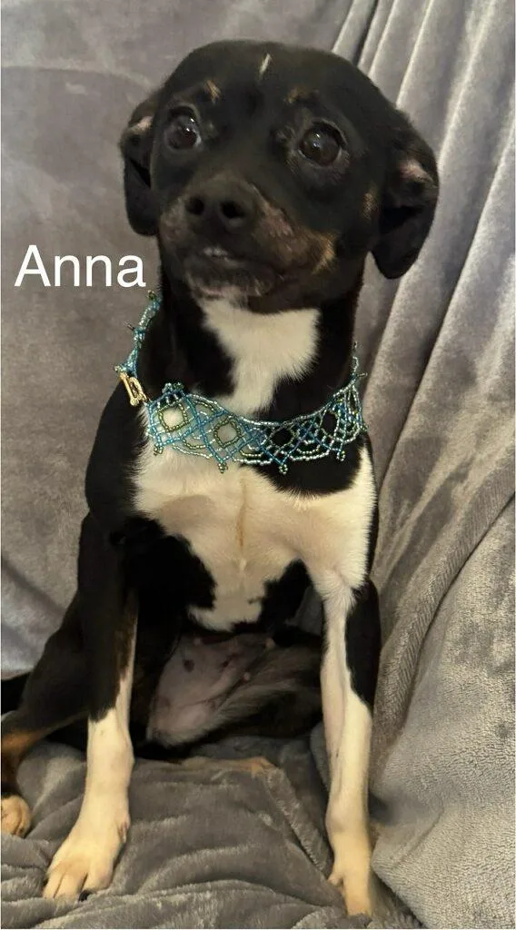 Anna thumbnail 3