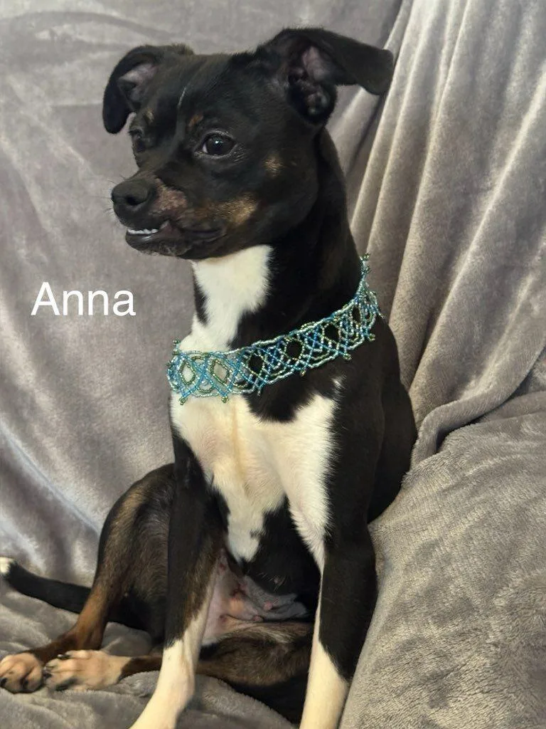 Anna thumbnail 5