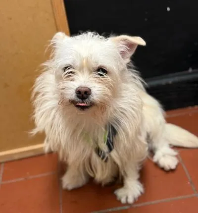 Brenda Lee thumbnail 3