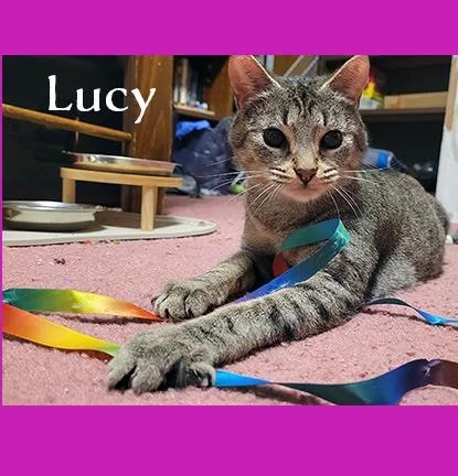 Lucy thumbnail 3