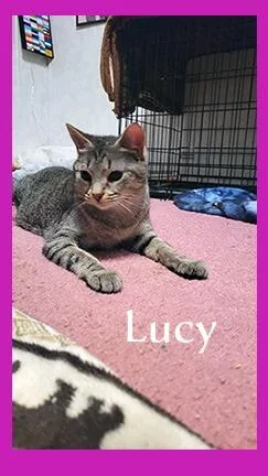 Lucy thumbnail 6