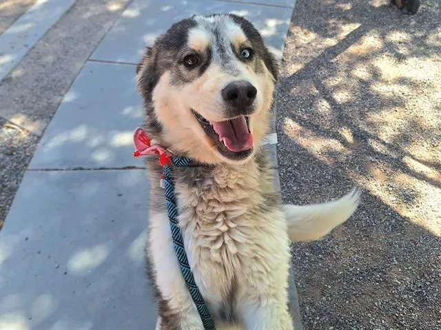 Lorenzo