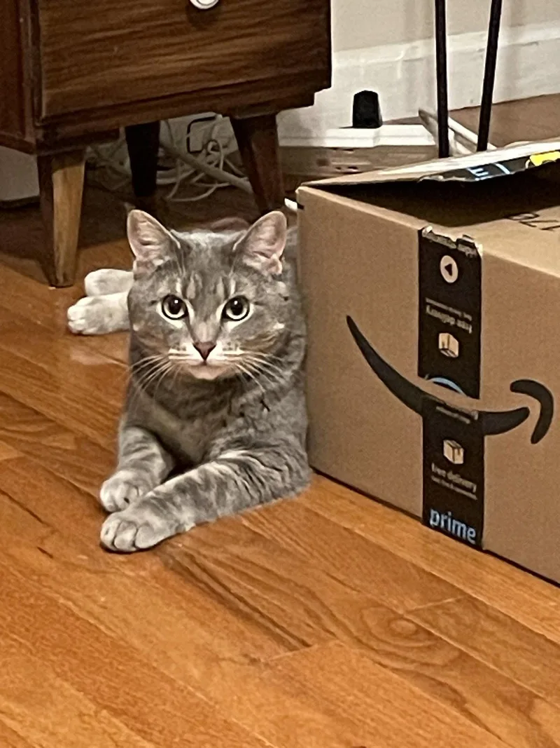 Rosie  Visit Me thumbnail 2