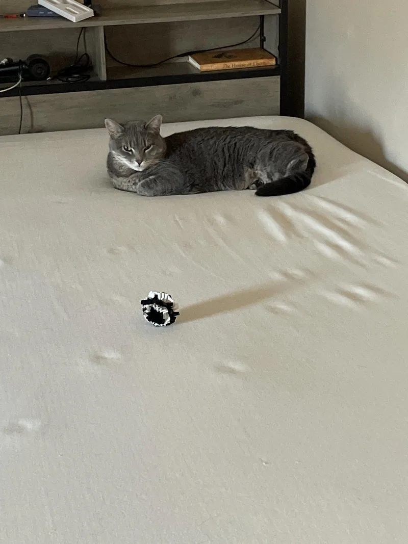 Rosie  Visit Me thumbnail 3