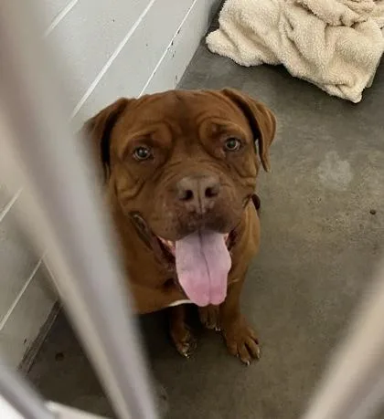 Tootsie Roll thumbnail 2