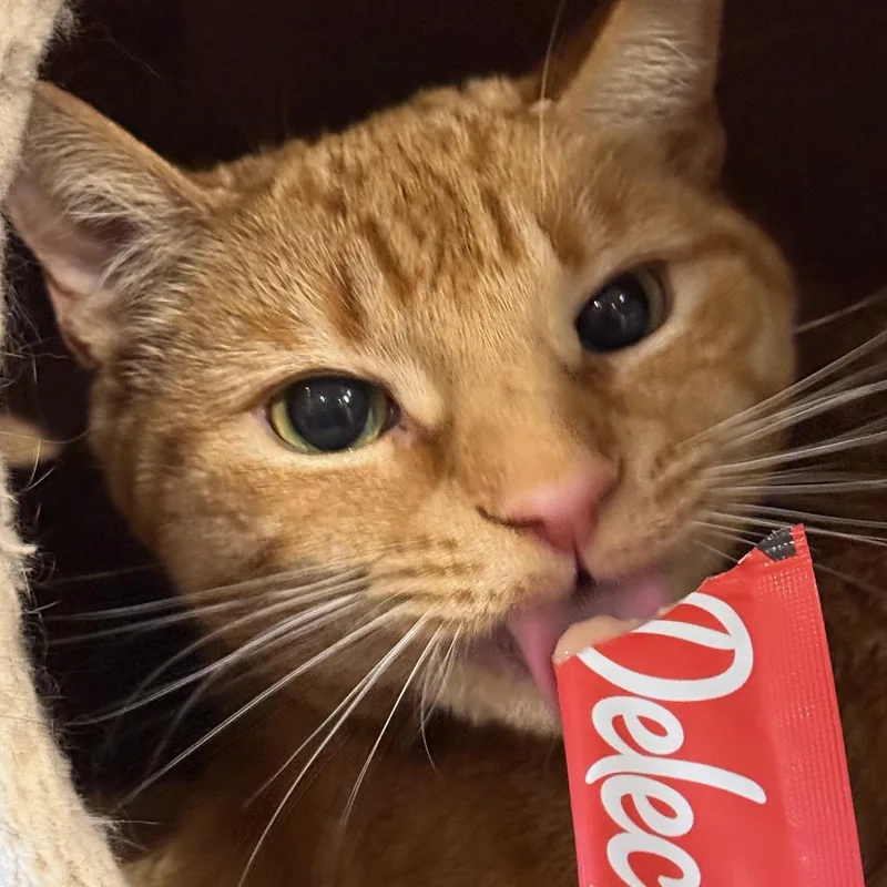 Mango thumbnail 2