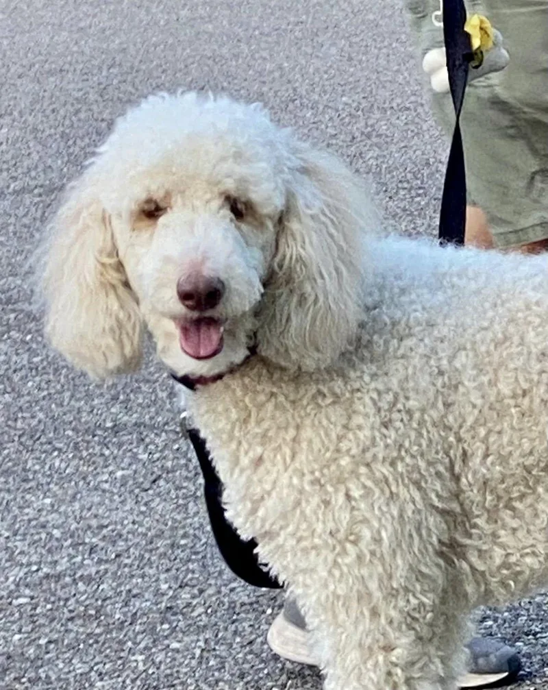 Laci Grace thumbnail 2