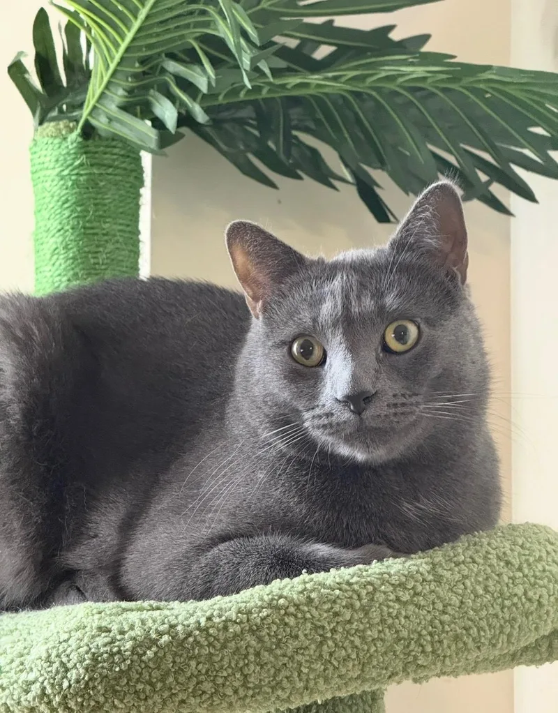 Tuffy And Zinky thumbnail 2