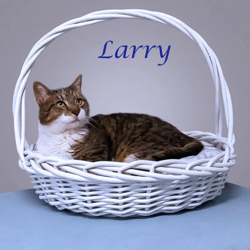 Larry C