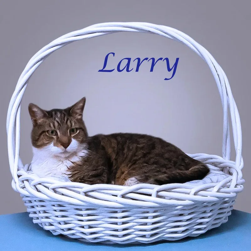 Larry C thumbnail 2