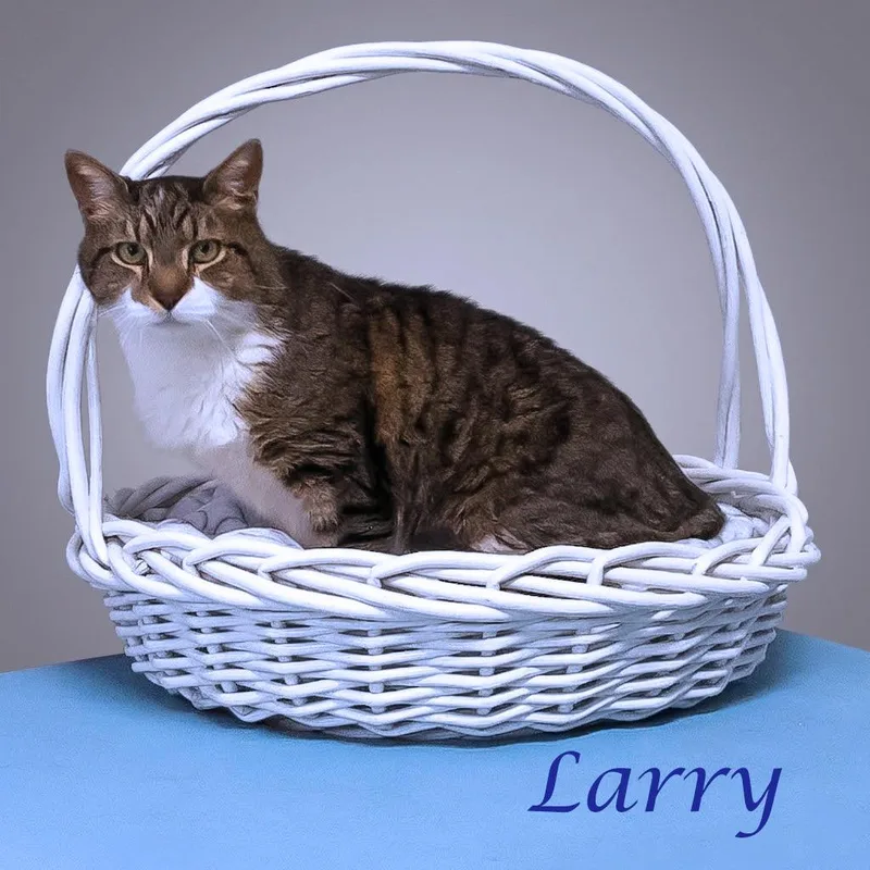 Larry C thumbnail 3