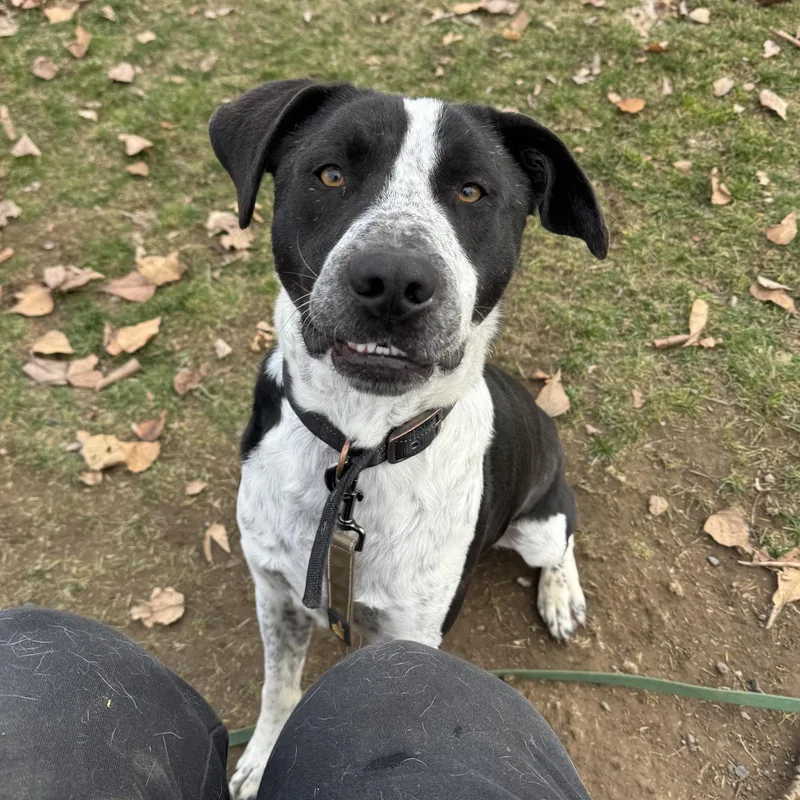 Tito Training Graduate