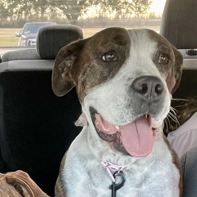 Maggie Mae thumbnail 4