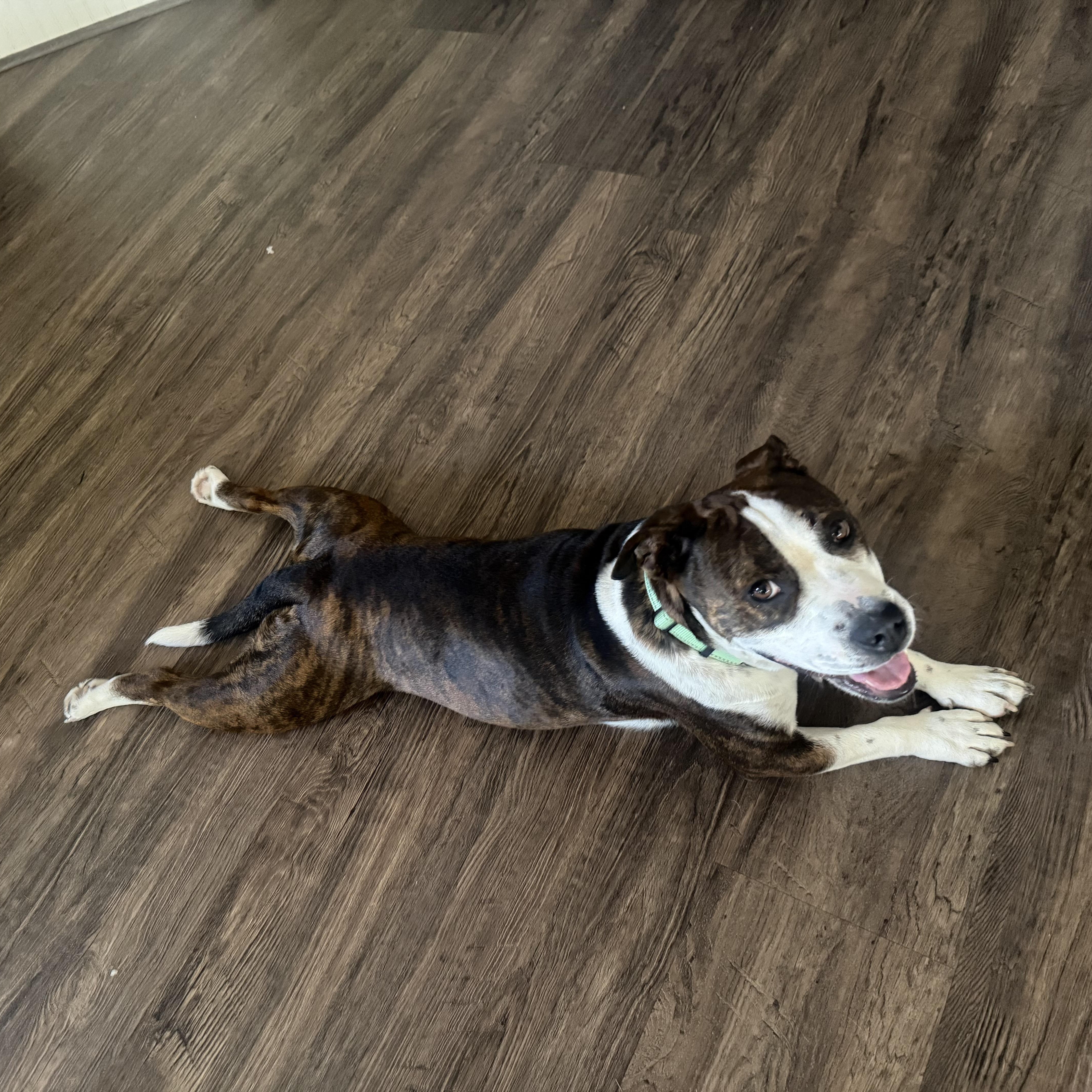 Maggie Mae thumbnail 6