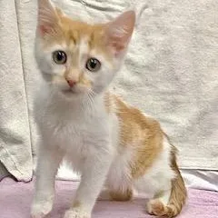 Poseidon thumbnail 3