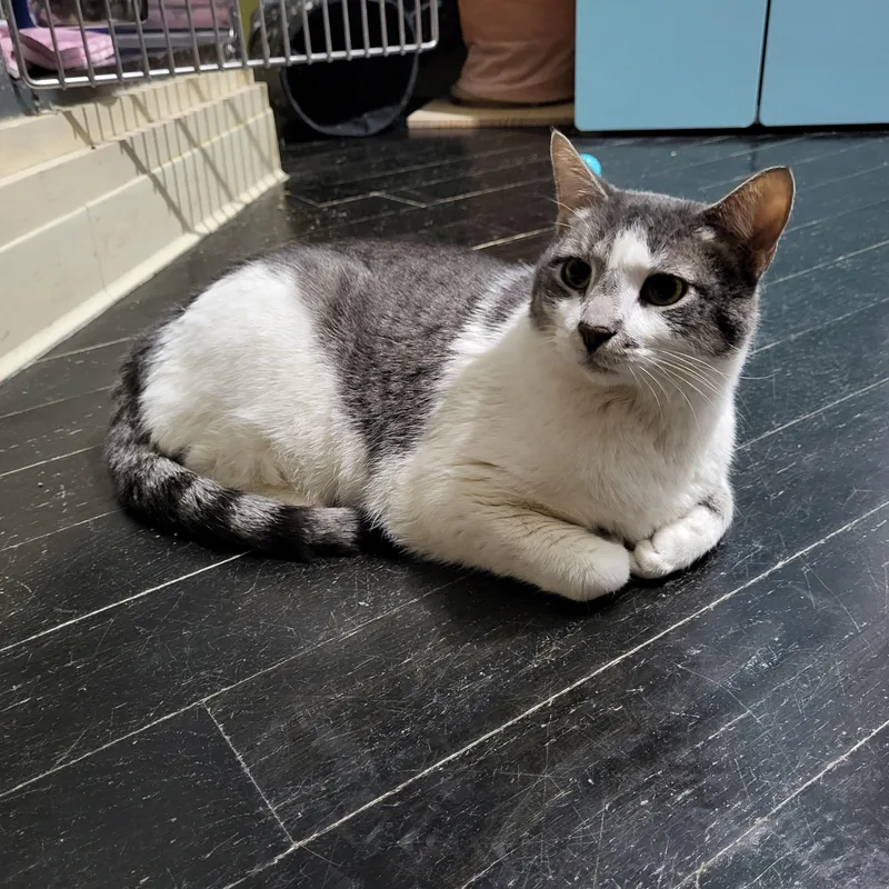 Spongebob thumbnail 2