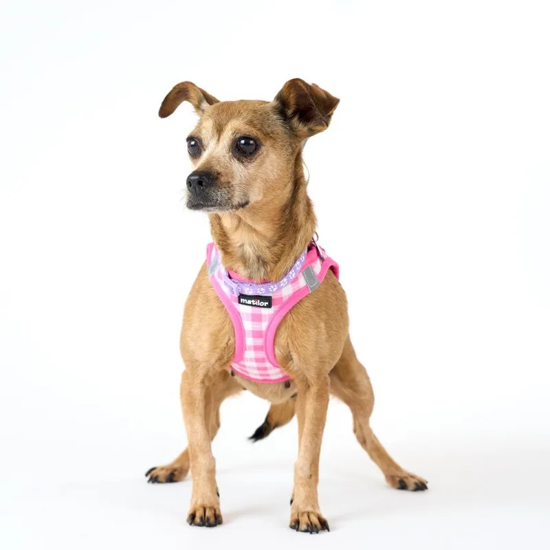 Valley Girl thumbnail 4