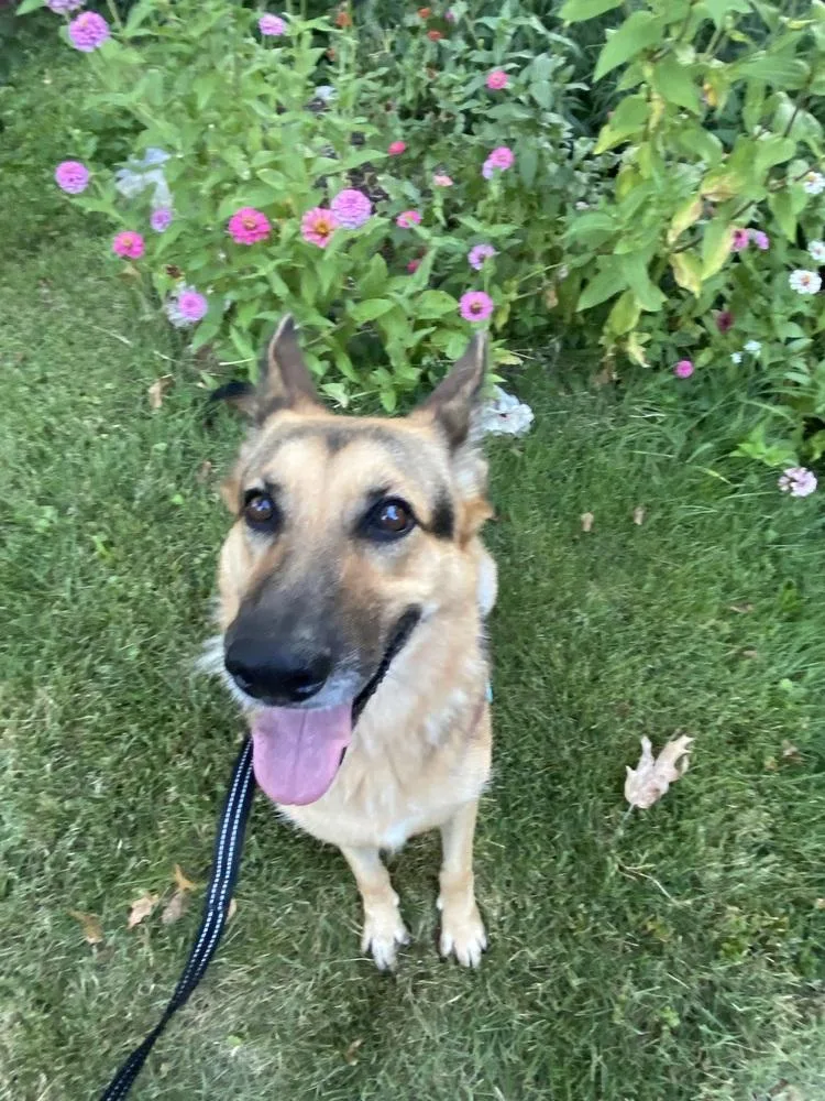 Heidi