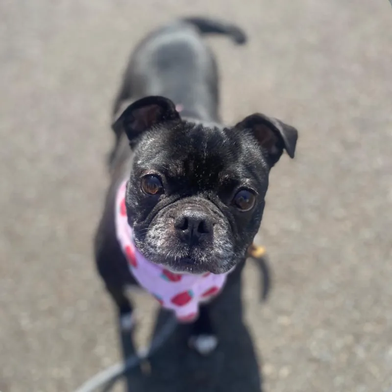 Darla thumbnail 2