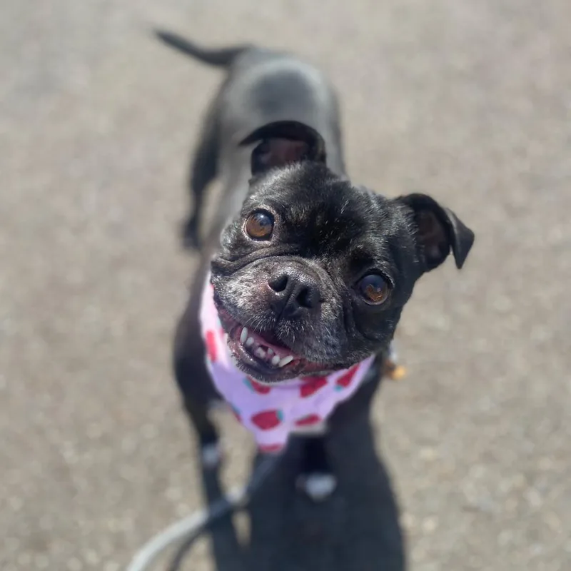 Darla thumbnail 5
