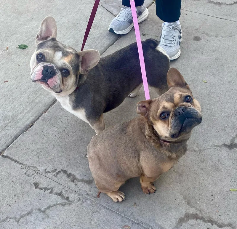 Gilligan thumbnail 2