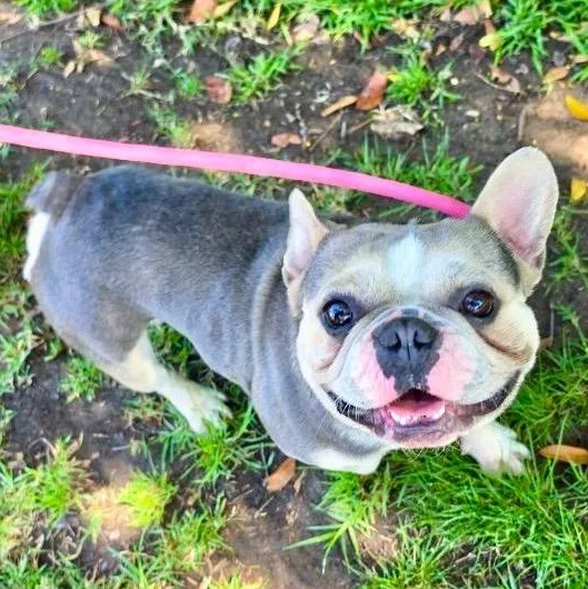 Gilligan thumbnail 4