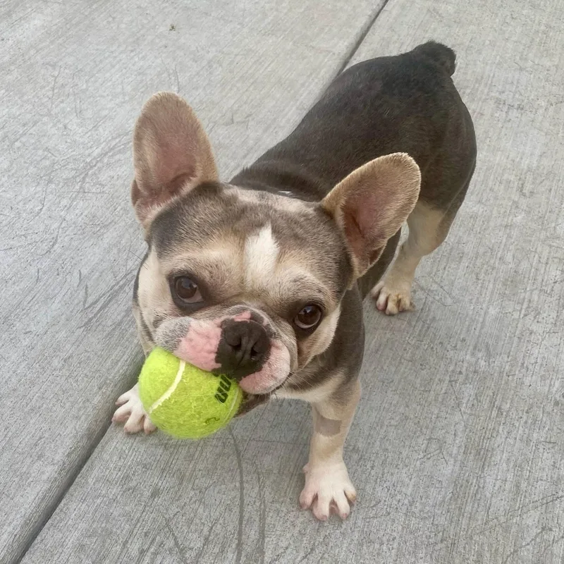 Gilligan thumbnail 5