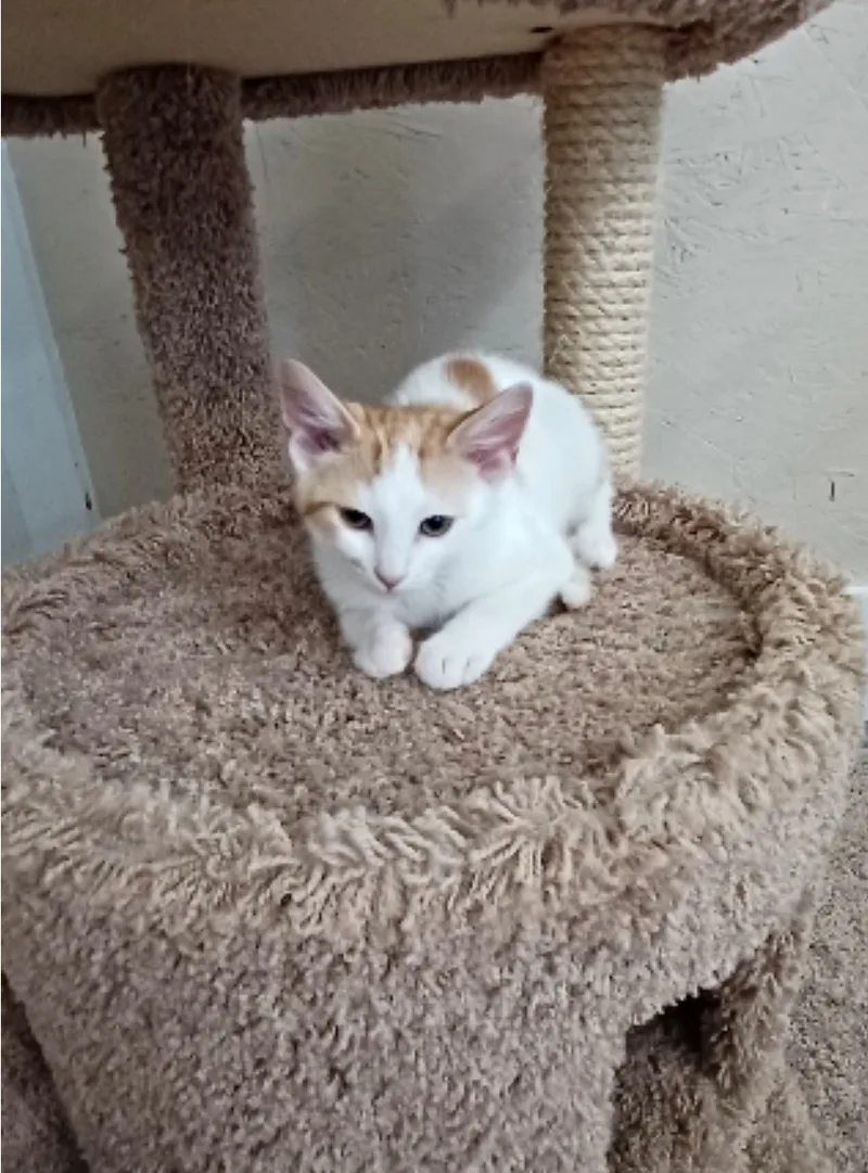 Freckles thumbnail 2