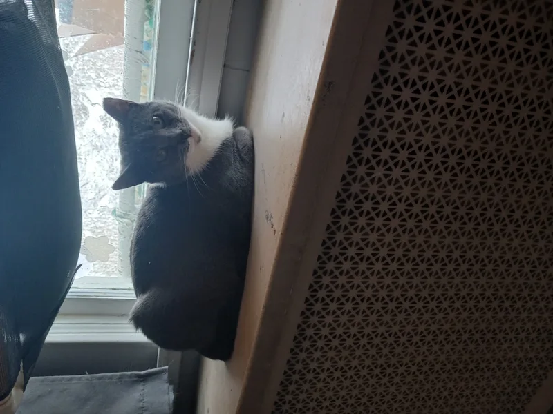 Millie & Snuffleupagus