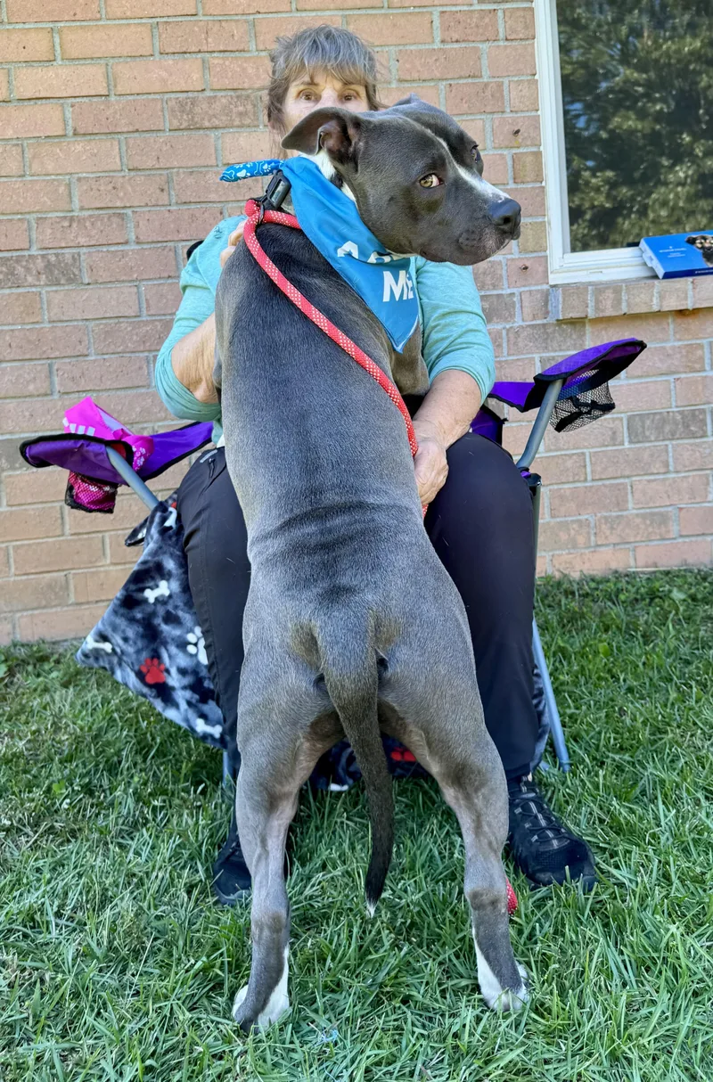 Pickles!  From A thumbnail 5