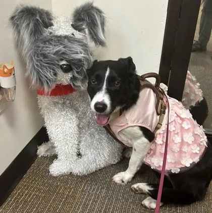 Moxie Glitterbottom thumbnail 3