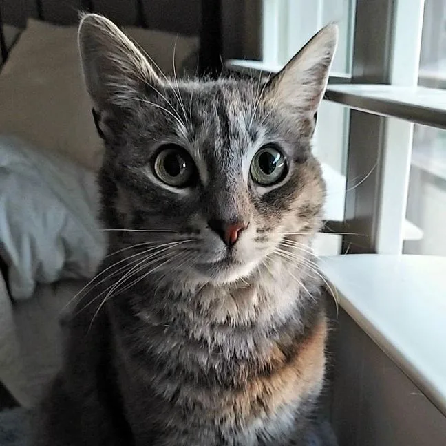 Laylacheck Out My Video!