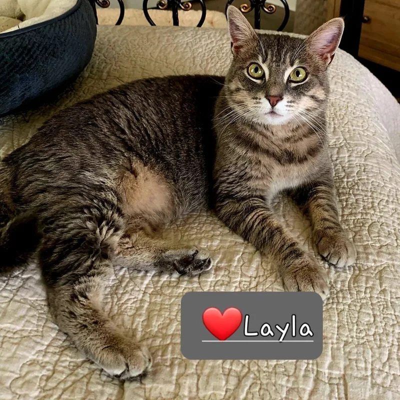 Laylacheck Out My Video! thumbnail 2