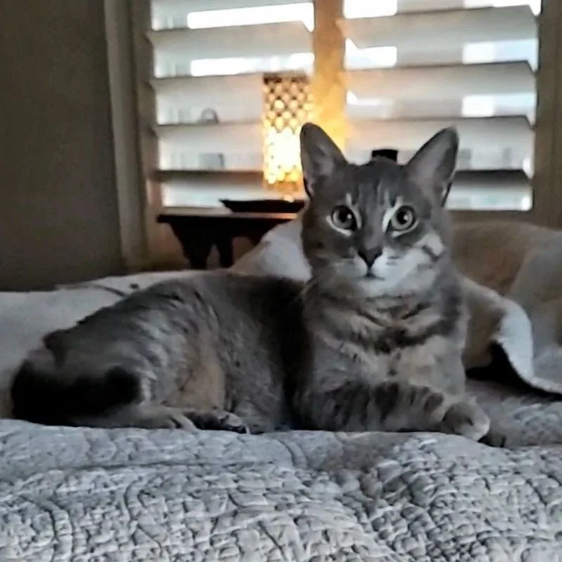 Laylacheck Out My Video! thumbnail 3