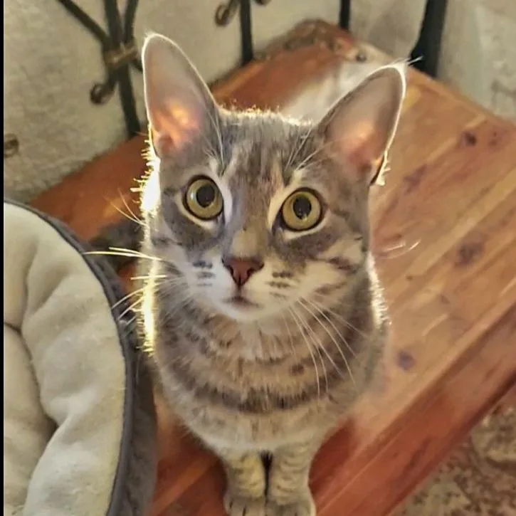 Laylacheck Out My Video! thumbnail 4