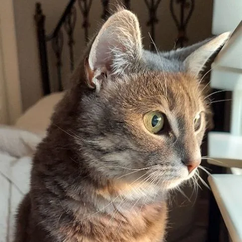 Laylacheck Out My Video! thumbnail 5