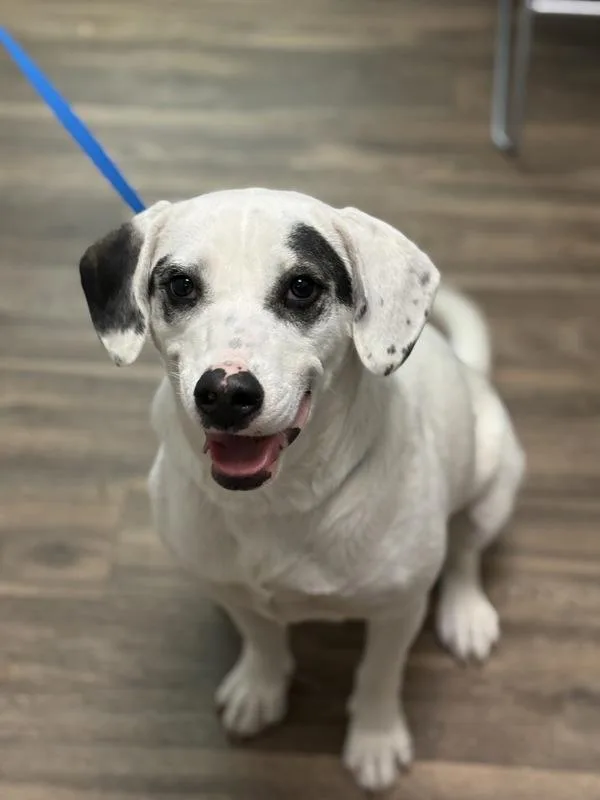 Sunshine thumbnail 2