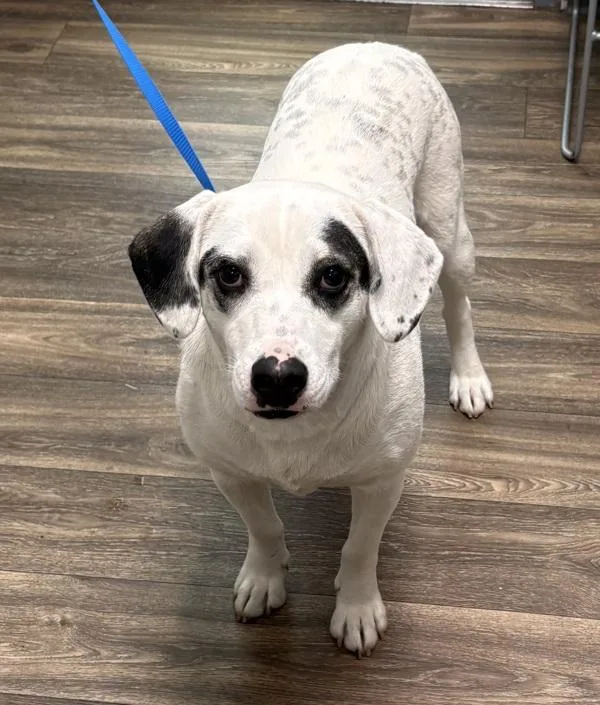 Sunshine thumbnail 3