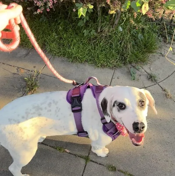 Sunshine thumbnail 4